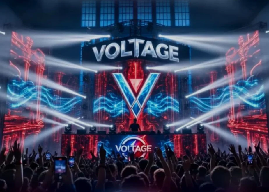 The crowd in front of a VOLTAGE mainstage (stage concept)